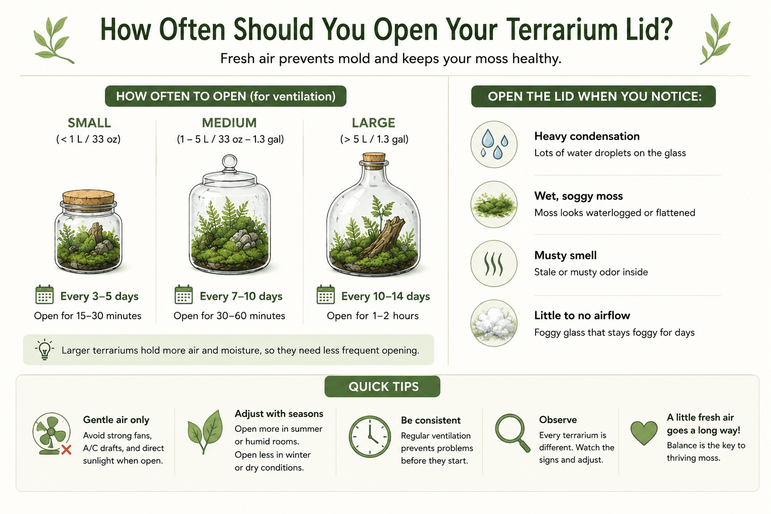moss-terrarium-airflow-guide